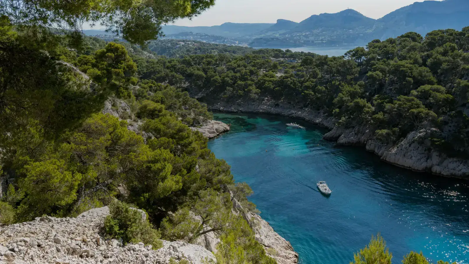 Une calanque aux eaux turquoise bordée de falaises et de pins près de Marseille